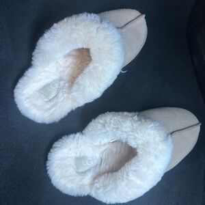 UGG Tan Slippers
